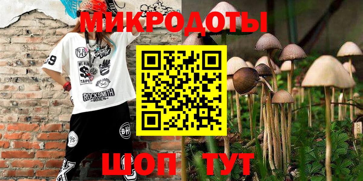Галлюциногенные грибы Psilocybine cubensis Белореченск